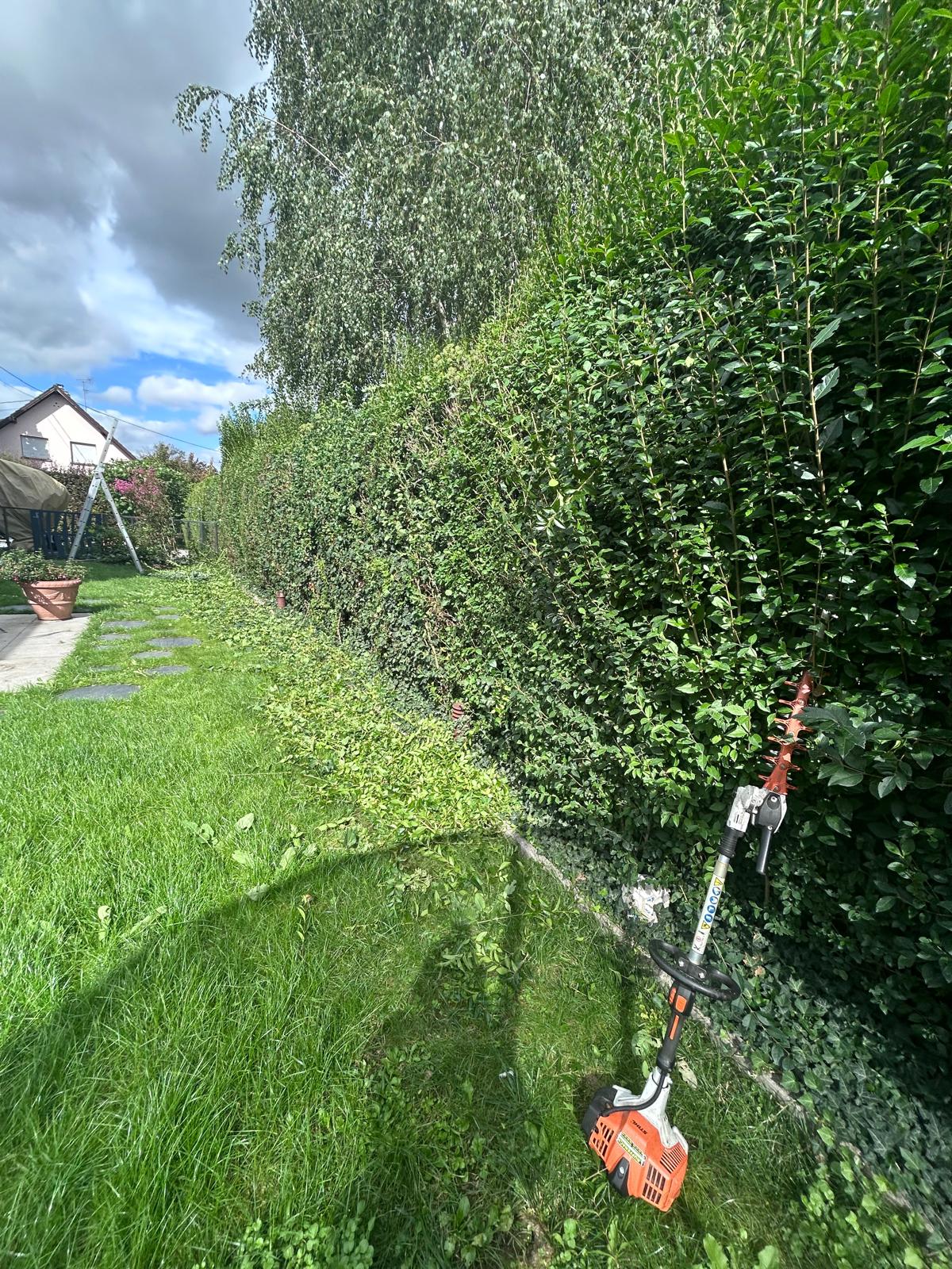Taille de haies à Furdenheim en Alsace dans le Bas-Rhin réalisée par Les Jardins de Mana, paysagiste à Vendenheim et Strasbourg