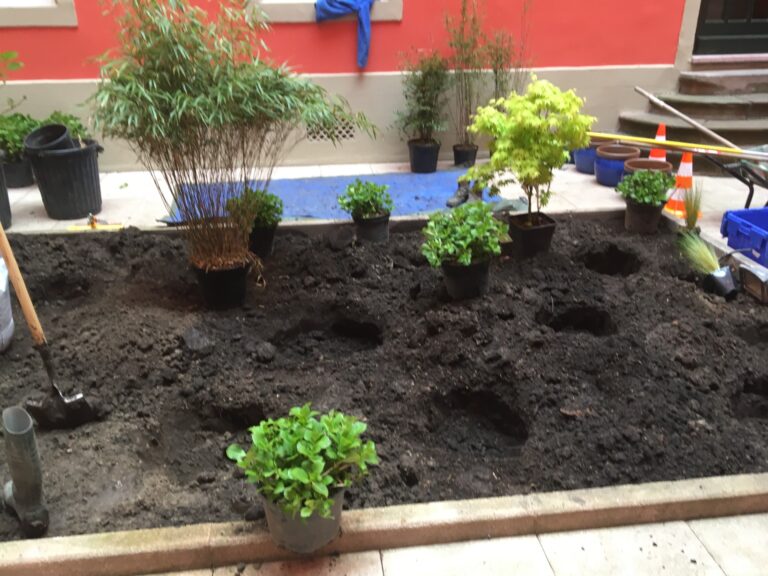 Création d'un mini-jardin pour la copropriété Cour d'Austerlitz à Strasbourg - Réalisé par le paysagiste alsacien Jardins de Mana