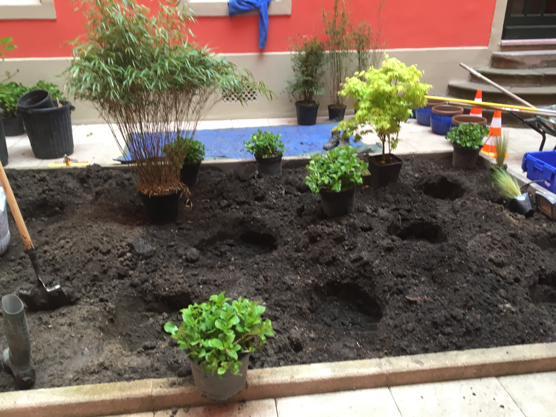 Création d'un mini-jardin pour la copropriété Cour d'Austerlitz à Strasbourg - Réalisé par le paysagiste alsacien Jardins de Mana